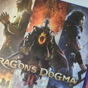 드래곤즈 도그마 2