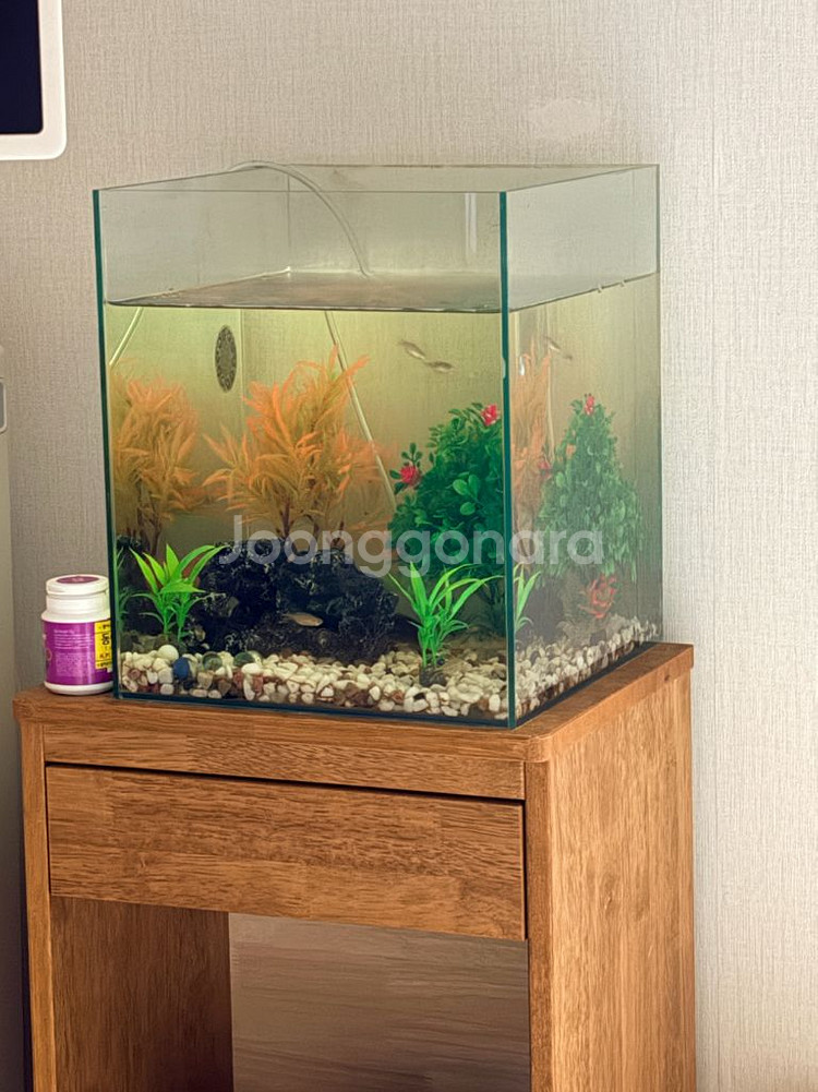60x30x40 어항 세트--0