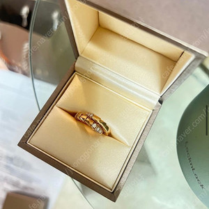 세르펜티 바이퍼 반지