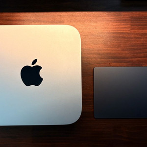 맥 미니 M1 16 512 / 매직 트랙패드 2 스그