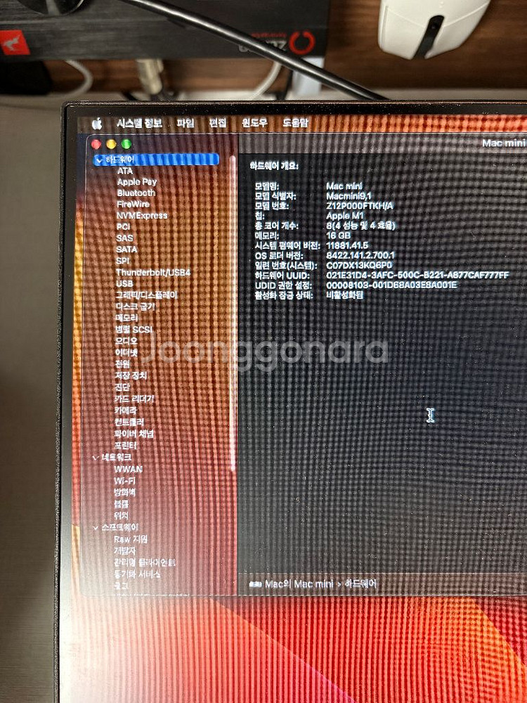 맥 미니 M1 16 512 / 매직 트랙패드 2 스그--3