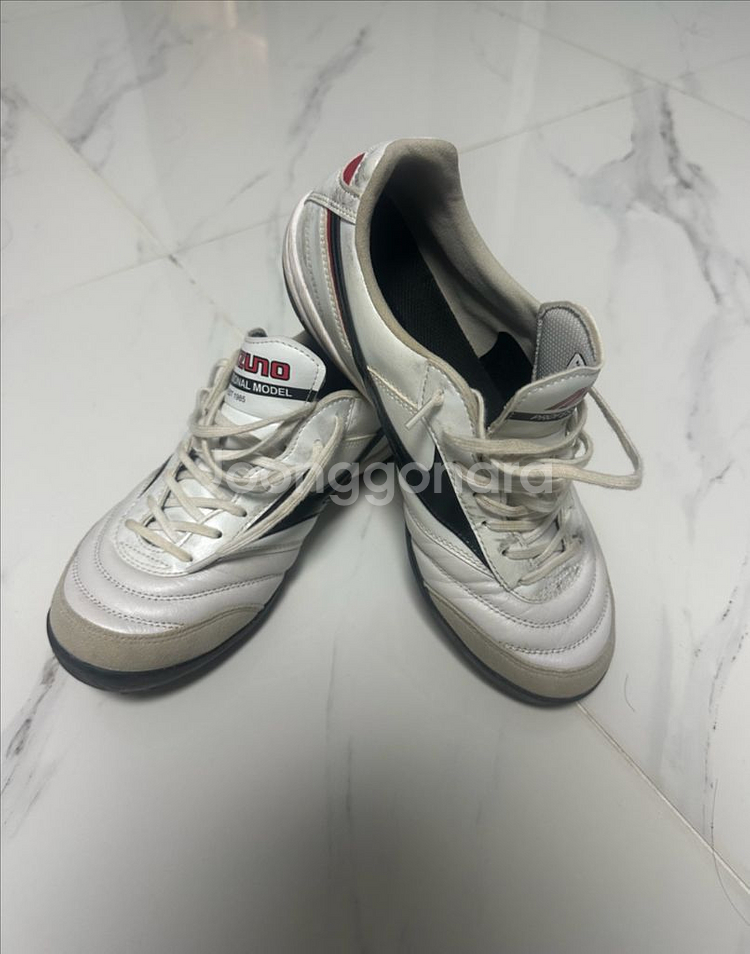 미즈노 모렐리아 풋살화 255mm--0