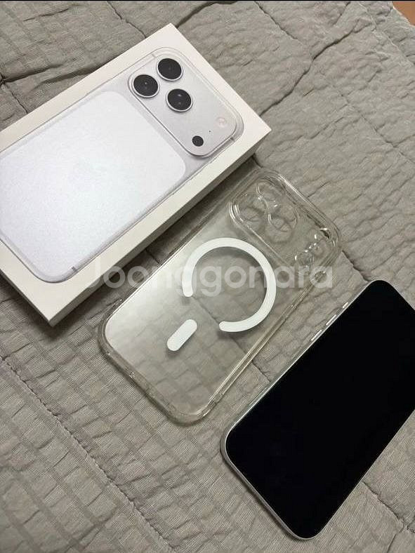 아이폰 17 Pro ( 256 GB 실버 자급제)--1