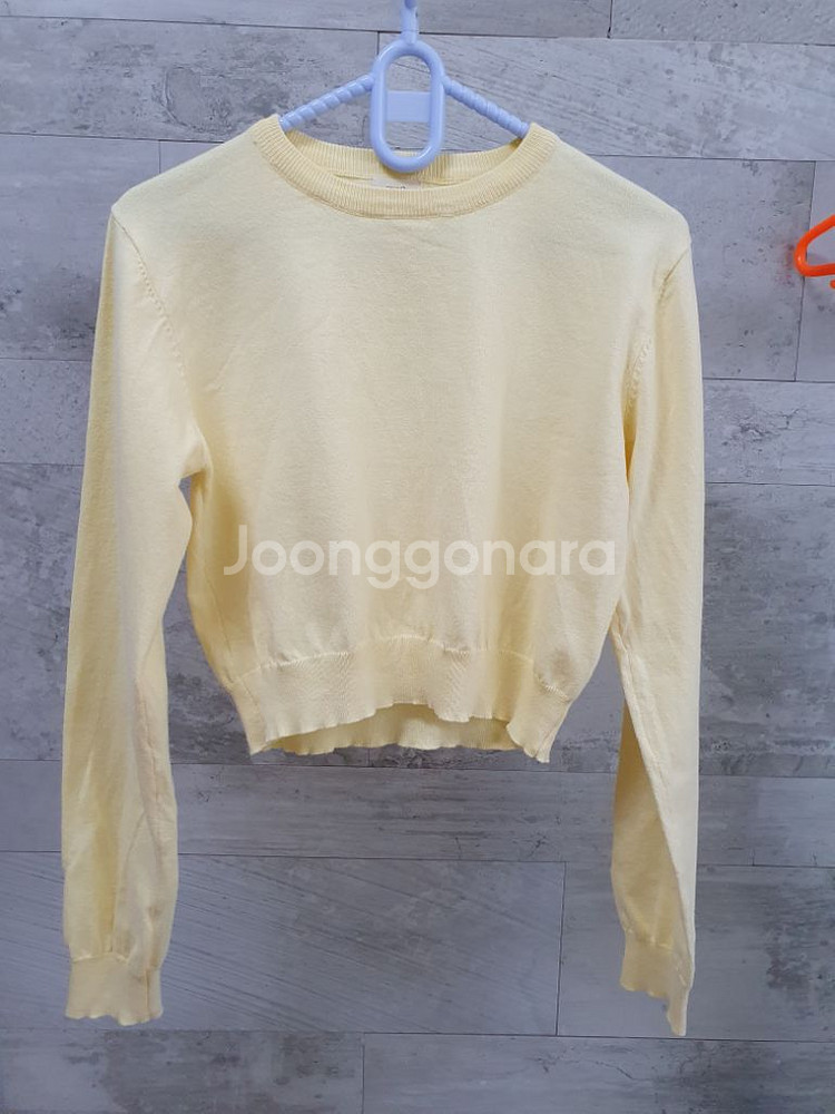 (새상품)크롭니트티 프리사이즈--0