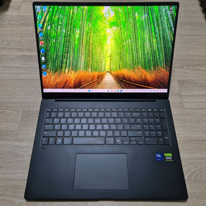 LG 그램 프로 17인치 17ZD90TR-SX7BK