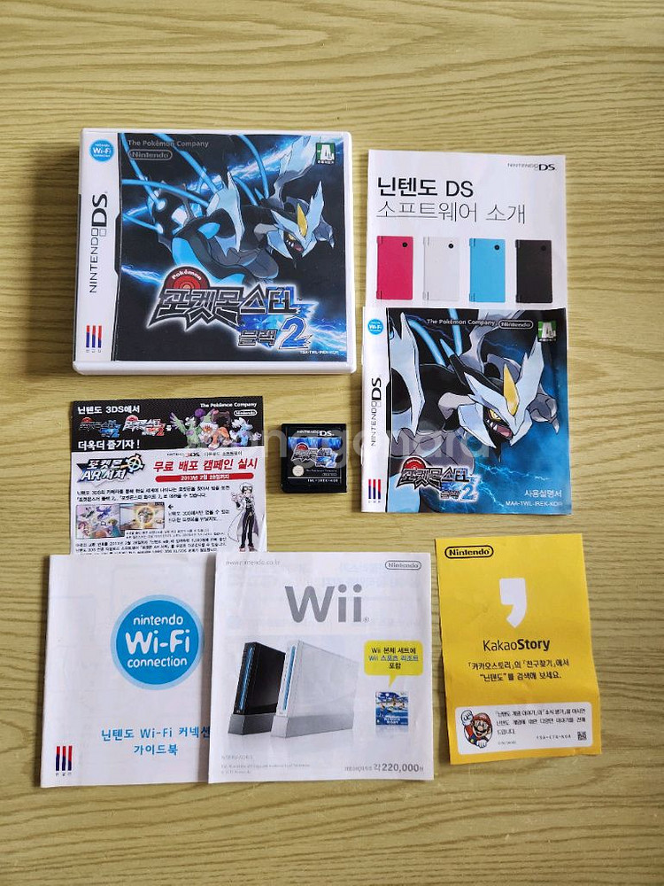 포켓몬스터 블랙 2--2