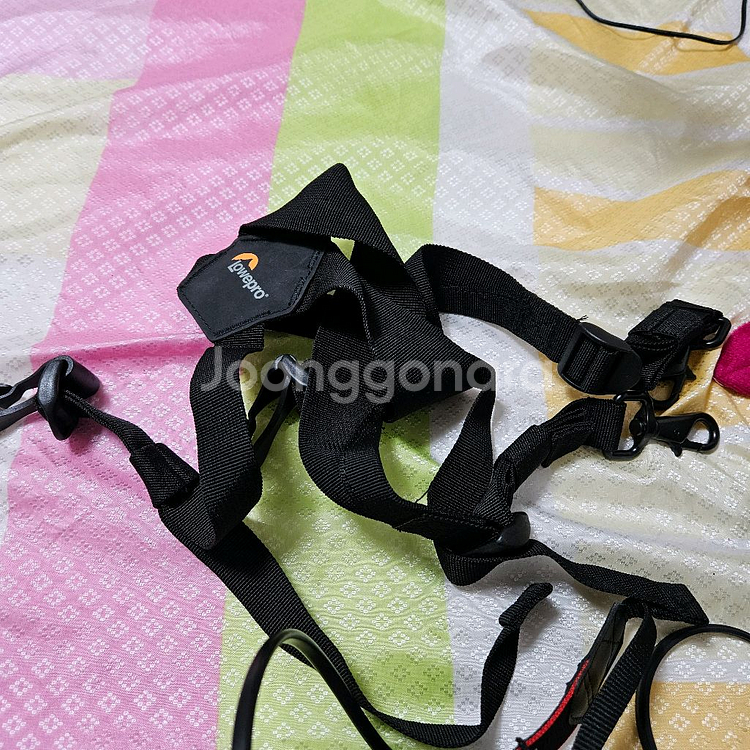 캐논 EOS R 미러리스 바디 RF 24 105 랜즈--3