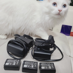 Rx1r3 배터리 + 충전기 소니 정품 FW50 A6400 NP