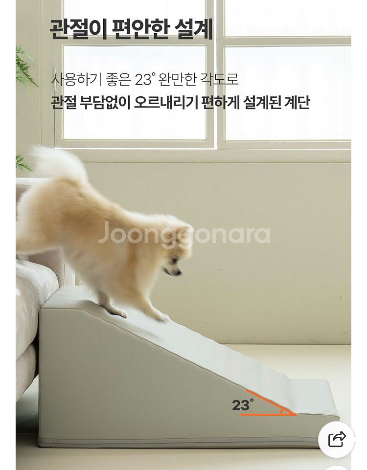 디팡 애견 계단--5