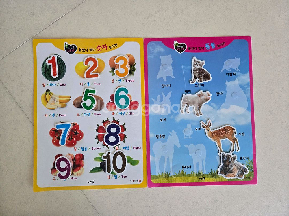 베이비올 아기--4