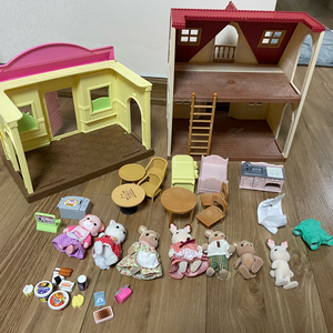 실바니안 콩지래빗 일괄