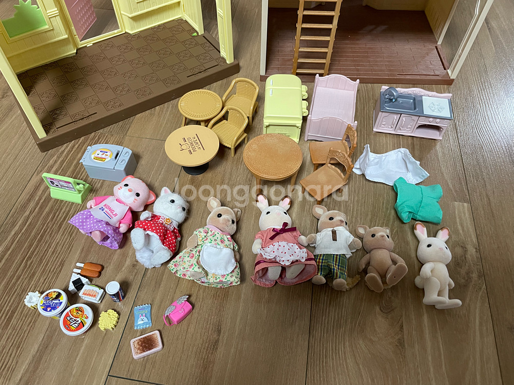 실바니안 콩지래빗 일괄--2