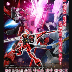 RG 소드 임펄스 건담 SPEC 2