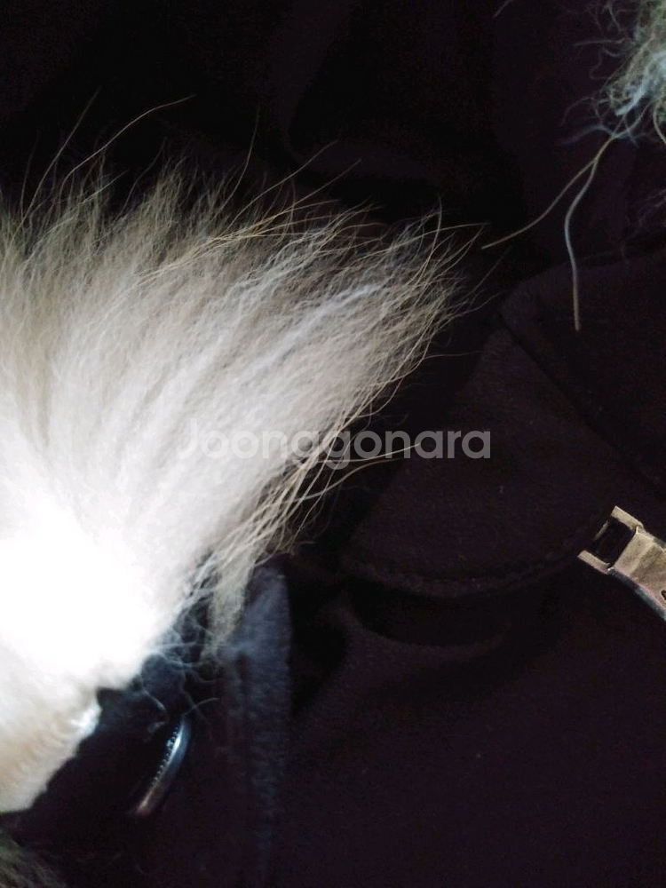 밀리밤 기모 맨투맨150,기모 청바지130,ASK오리털롱패딩145--6