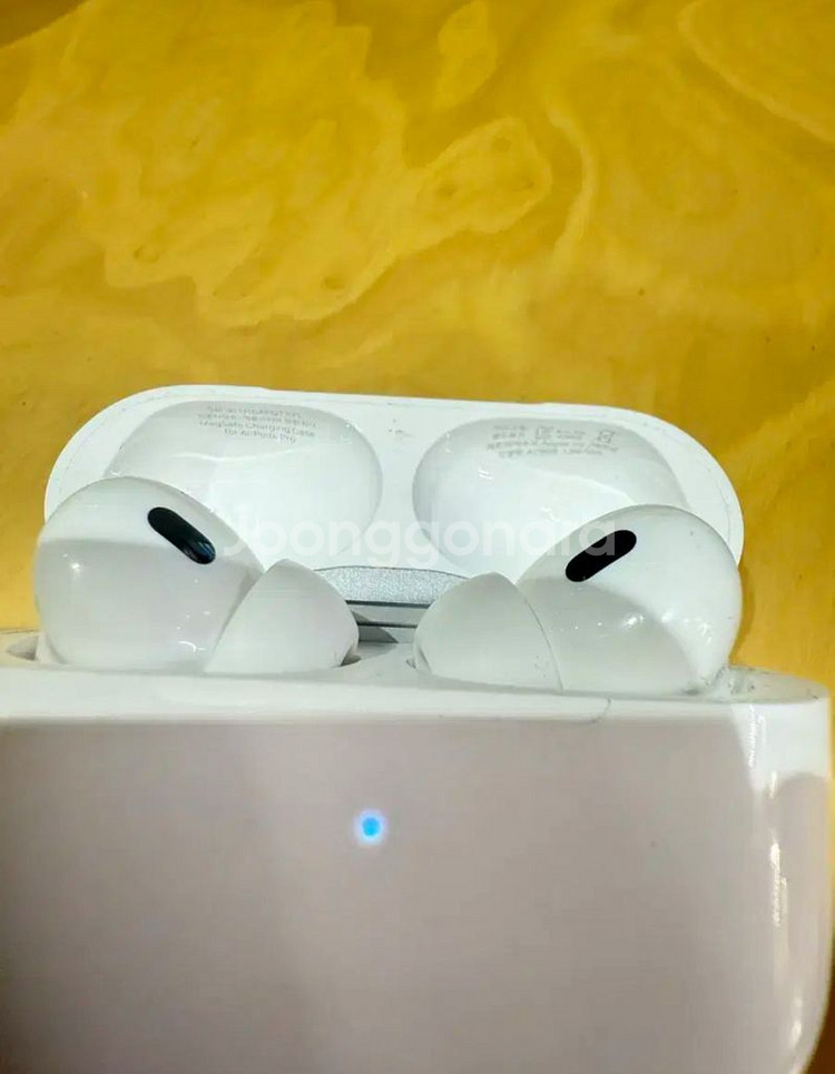 무선 이어폰 프로 2세대--1