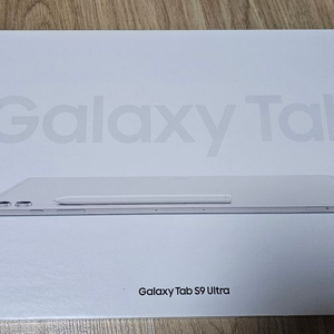 갤럭시탭 S9 울트라 512GB 와이파이 실버 + 케이스