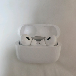 애플 에어팟 프로 2세대