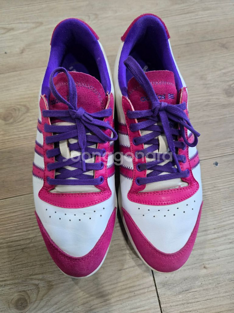 아디다스 골프 스파이크리스 골프화 240mm--1