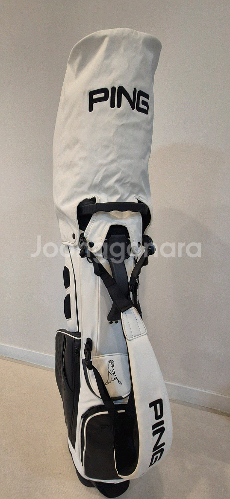 핑 스탠드백 팝니다--1