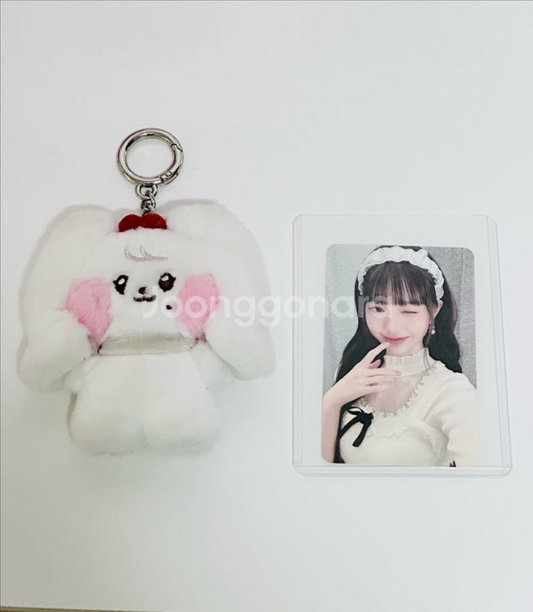 아이브 팝업 체리니 장원영 플러시 키링 미니브 미니니 체리니 원영--0