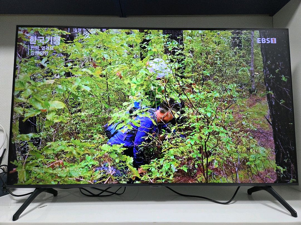 삼성 50인치 4K UHD 스마트 TV--0