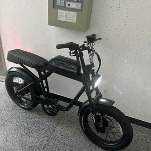 퀼리 엑스트론 슬림 자토바이 전기자전거 판매