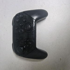 닌텐도 스위치 프로콘