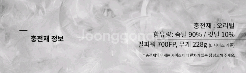 캘빈클라인 후드 숏패딩--6