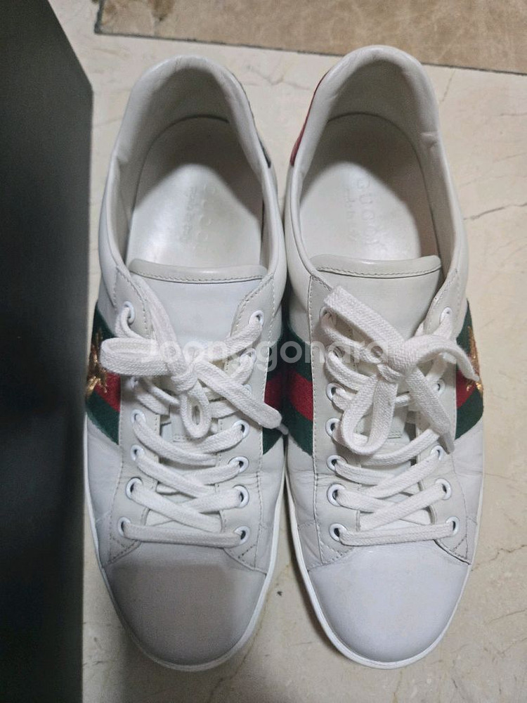 구찌 꿀벌스니커즈--1