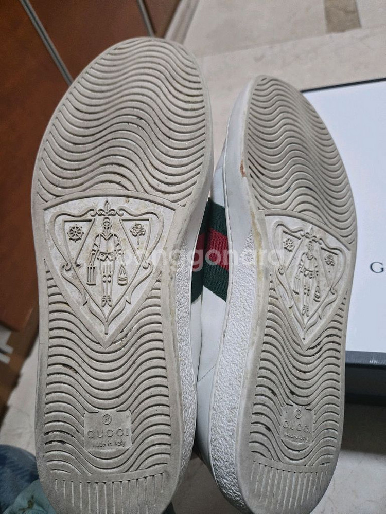 구찌 꿀벌스니커즈--5