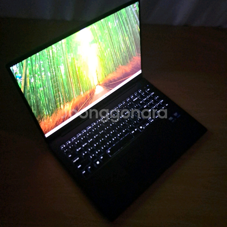 S급 베터리100%ㅣ16GB+256GBㅣ2025년식 LG그램 노트북ㅣ16인치--5