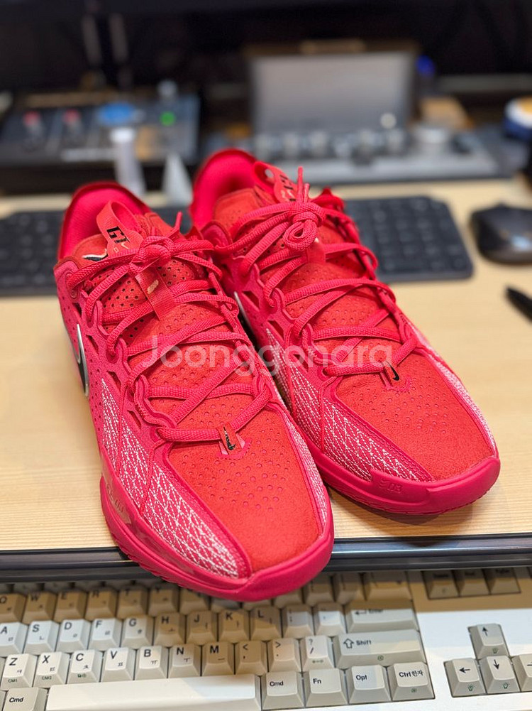 [새상품] 지티컷3 (265mm) - 택포!!--0