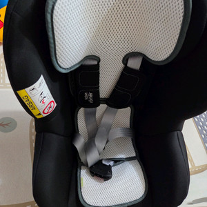 신생아용 카시트