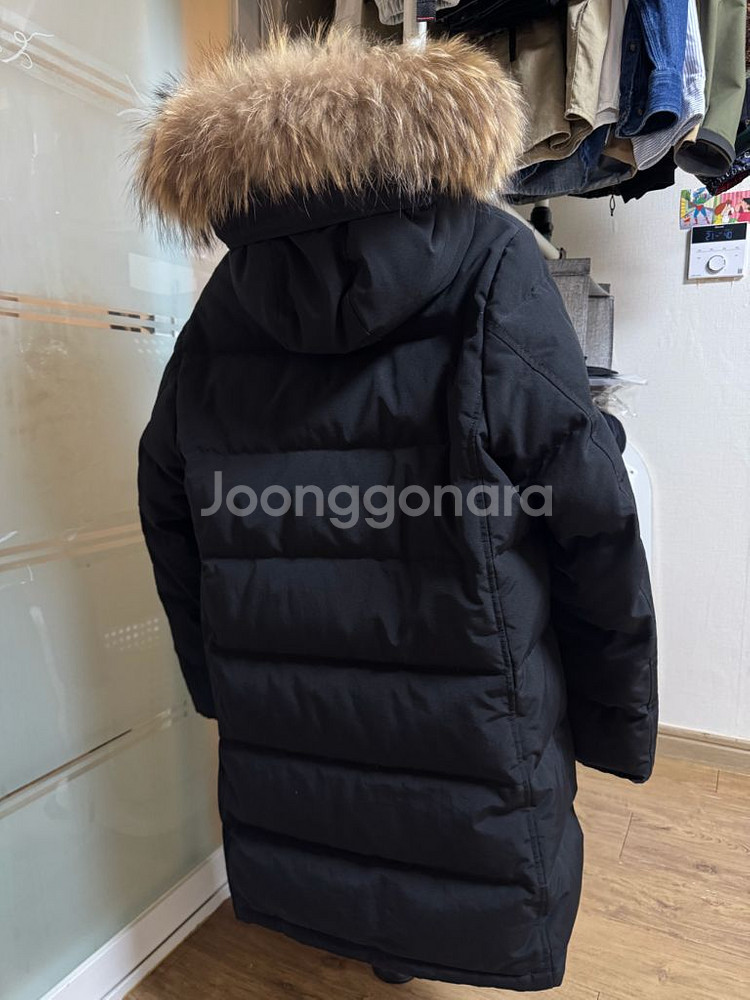 [M] DANTON 단톤 38 size 롱패딩--1