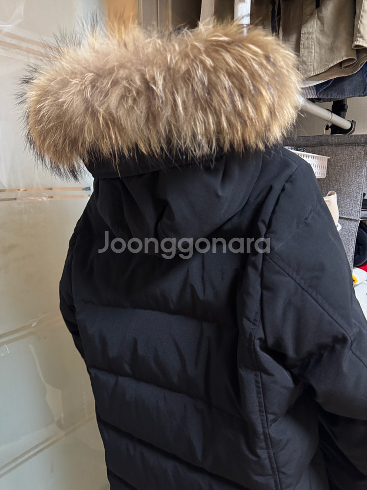 [M] DANTON 단톤 38 size 롱패딩--3