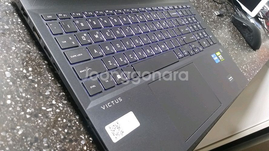 HP 12세대 i7/DDR5 빅터스 게이밍 노트북/RTX3060--3