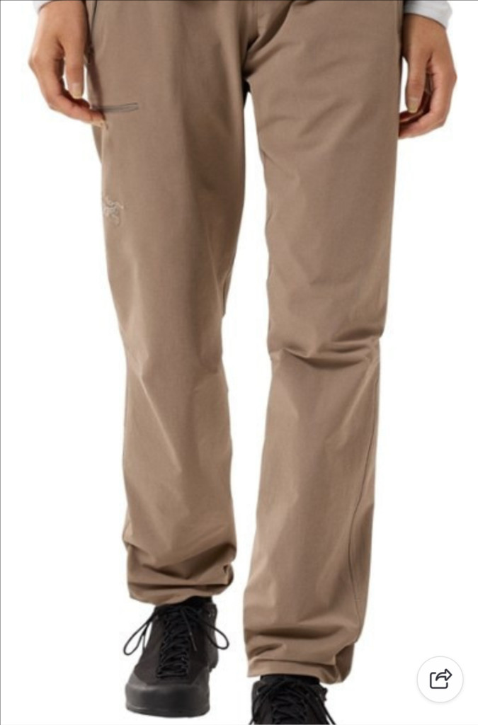 아크테릭스감마 LT 바지 이미지