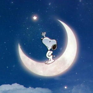 아크네스튜디오 머플러 오트밀멜란지 내로우