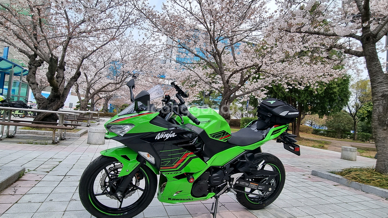 닌자400 풀카울--0