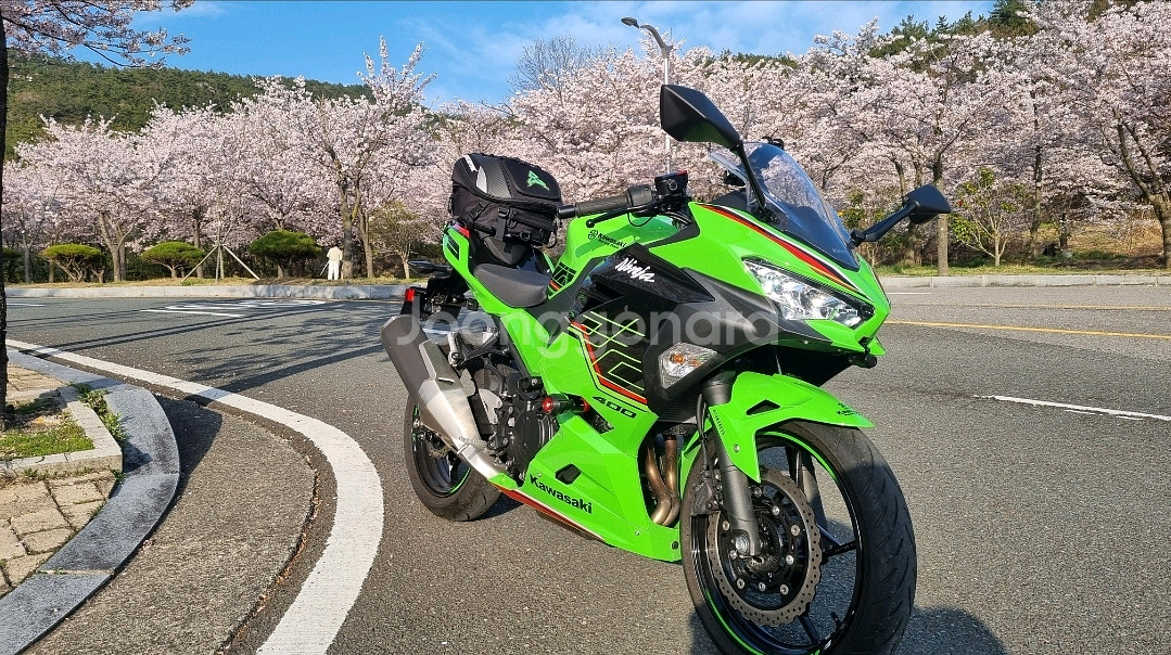 닌자400 풀카울--1