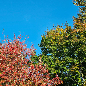 닌텐도 스위치2