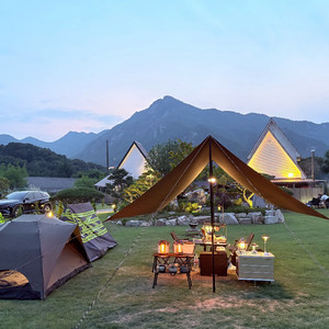 이도공감 안나2.5p / 헤마프리미엄 타프 플러스 풀세트(M)