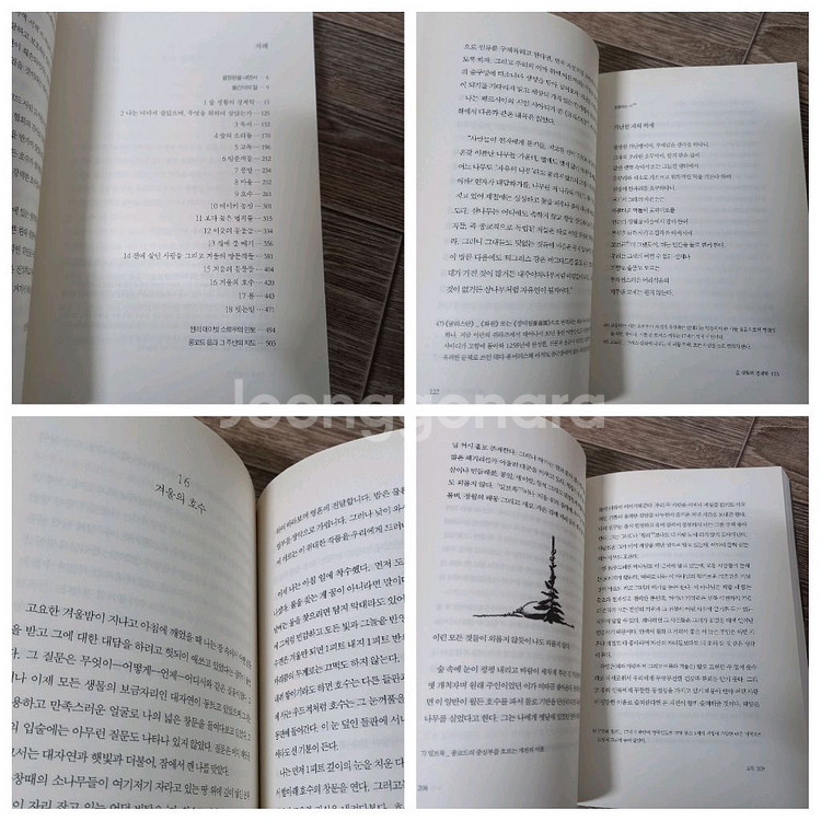 도서4권(침묵의봄,월든,숲속의자본주의자 외_일괄2만원(정가64000원)--5