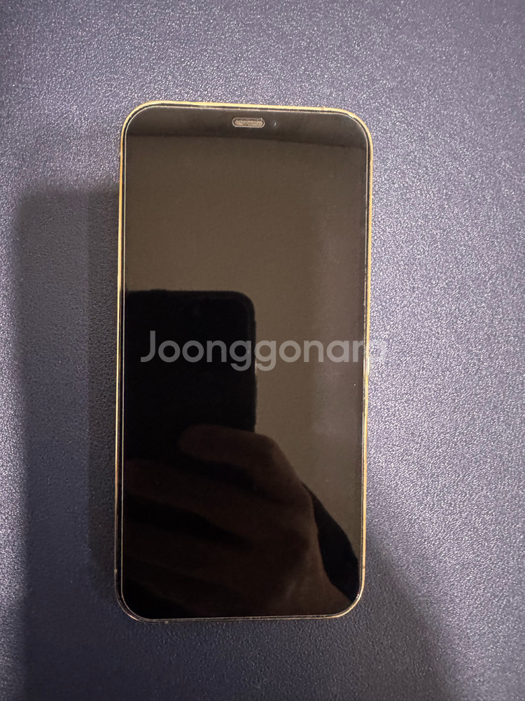 아이폰 12 프로 골드 256GB--1