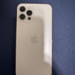 아이폰 12 프로 골드 256GB