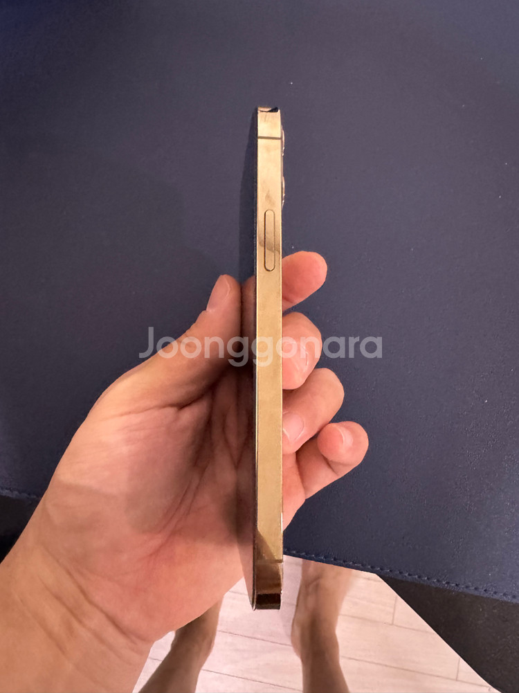 아이폰 12 프로 골드 256GB--2
