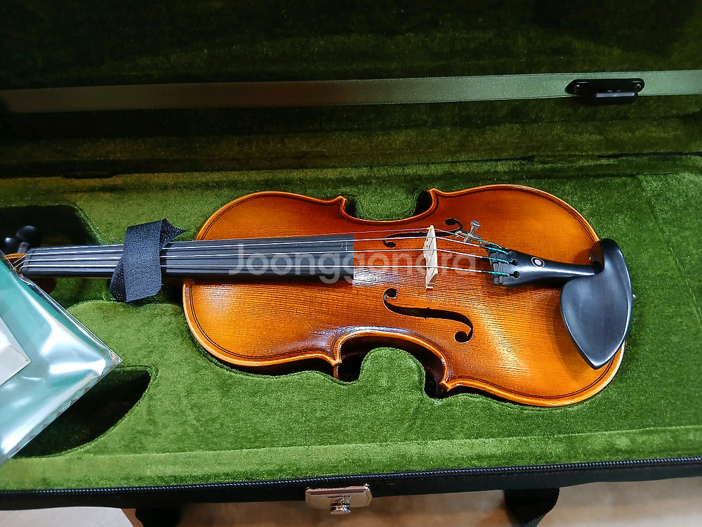 바이올린 1/8사이즈--1