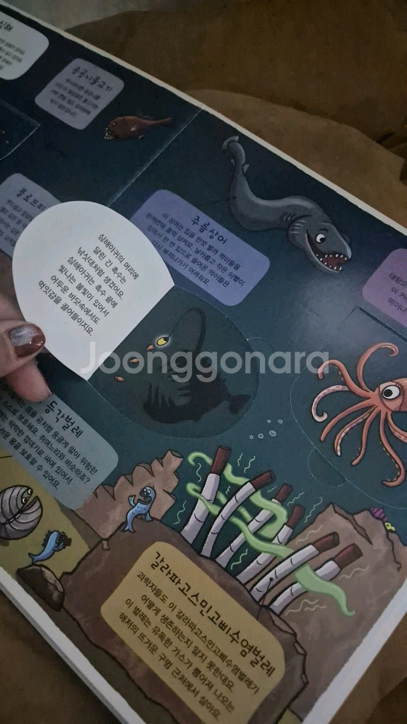 우리의 탐험가 시리즈 8권 세트--3