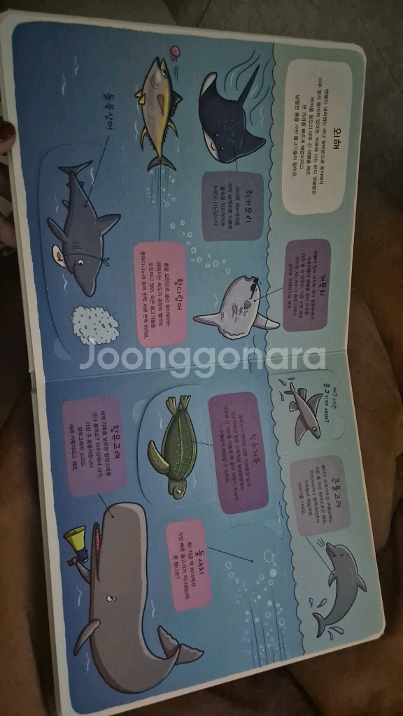 우리의 탐험가 시리즈 8권 세트--2