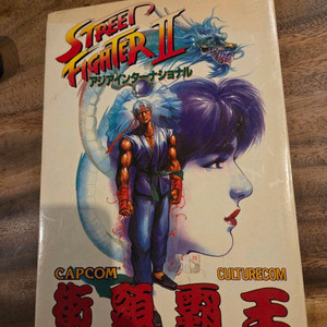 스트리트파이터2 가두패왕 컬러화보집